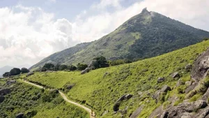 Things to do in Tamil Nadu