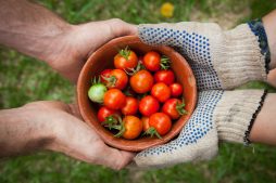 Health and food safety in India for foreigners