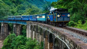 Things to do in Tamil Nadu