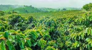 12 Best Things to Do in Karnataka