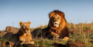 things to do in gujarat