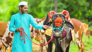 best time to visit alibaug