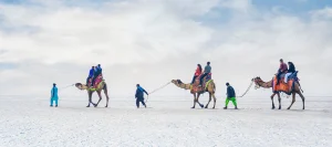 things to do in kutch