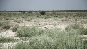 best time to visit kutch