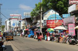 things to do in alleppey
