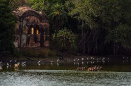 things to do in ranthambore