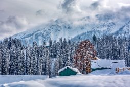 best time to visit srinagar