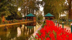 best time to visit srinagar